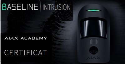 compétences - Ajax Intrusion