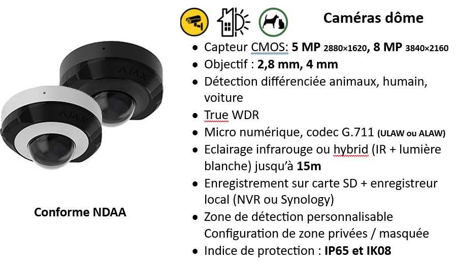 device alarme et vidéosurveillance - 19 Caméra Dome