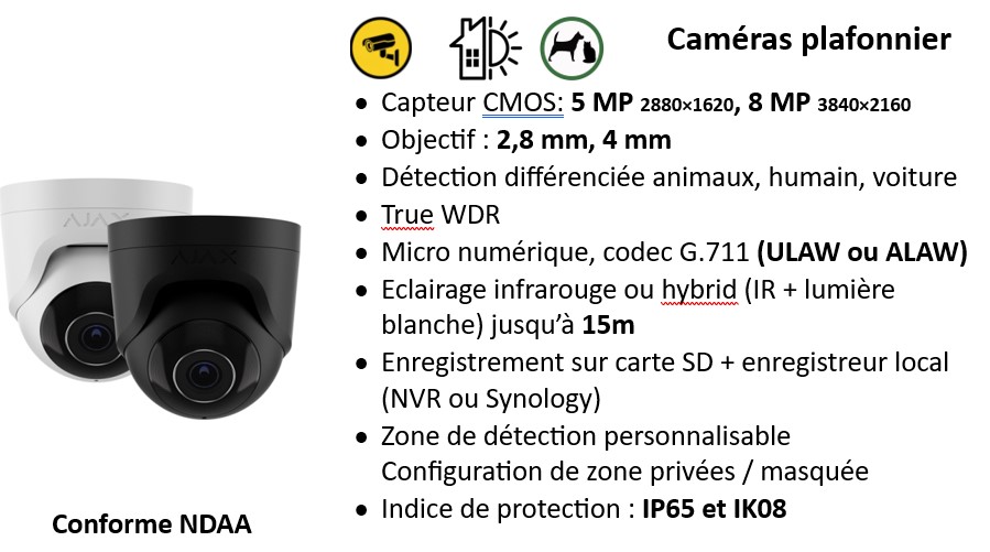 device alarme et vidéosurveillance - 21 Caméra Plafond